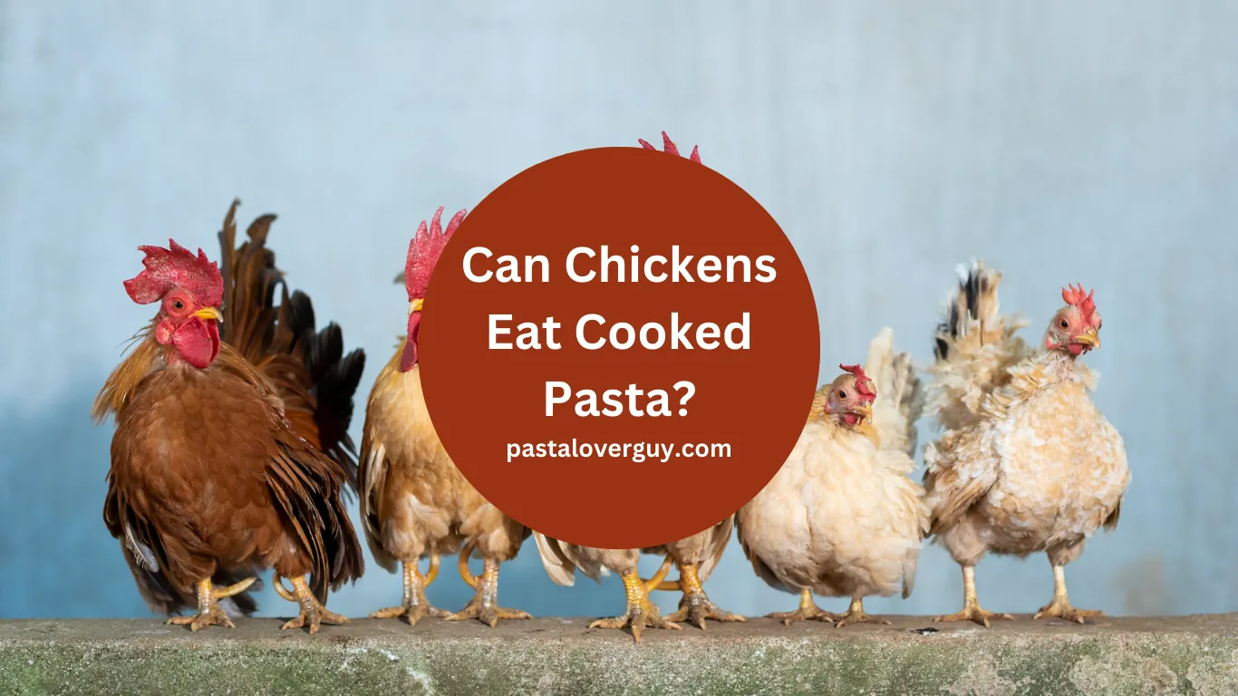 Can Chickens Eat Cooked Pasta?
